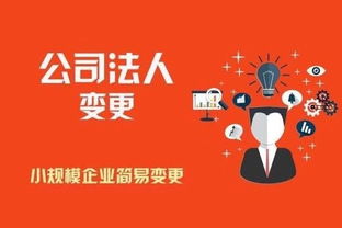 昆明商標(biāo)注冊代理公司與版權(quán)代理服務(wù)指南 保護(hù)企業(yè)知識產(chǎn)權(quán)的重要橋梁